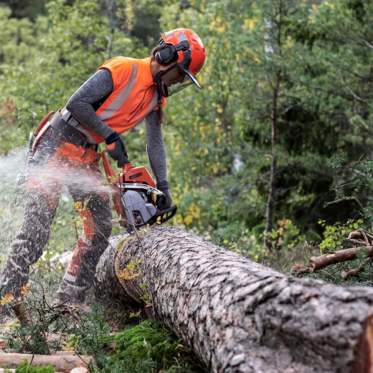 Person mit Kettensäge fällt Baum, trägt orange Schutzkleidung und Helm im Wald.