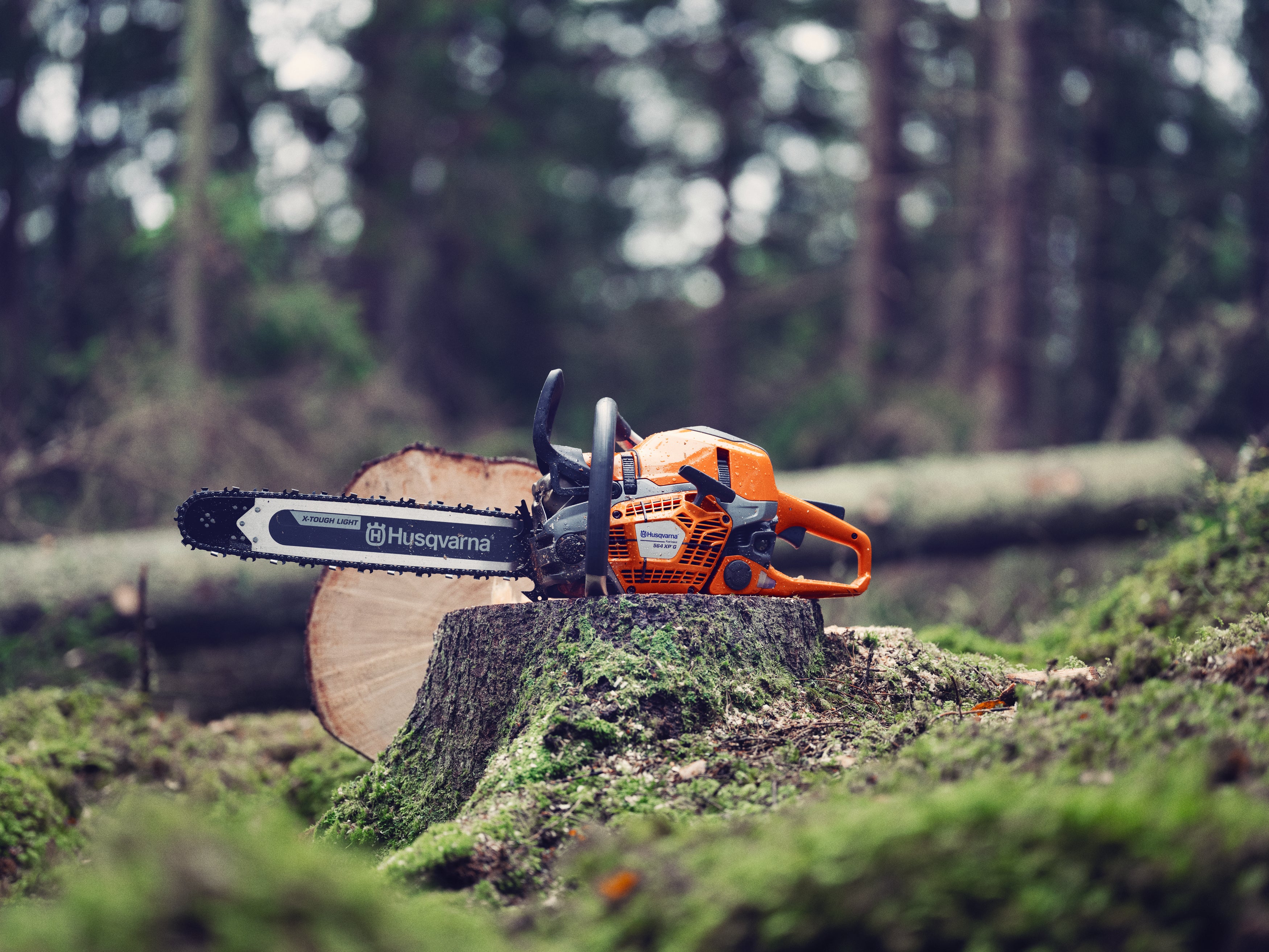 Eine orange Kettensäge liegt auf einem Baumstumpf im Wald.
