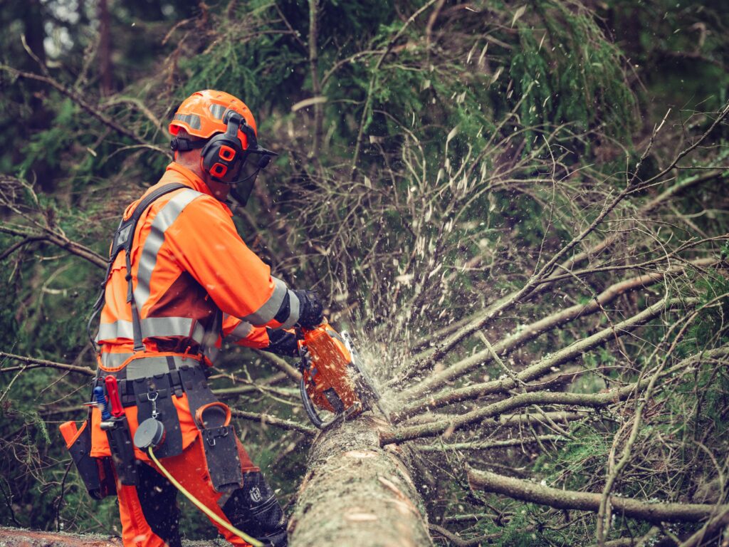 Ein Forstarbeiter in orangener Schutzkleidung sägt einen Baumstamm mit einer Kettensäge.